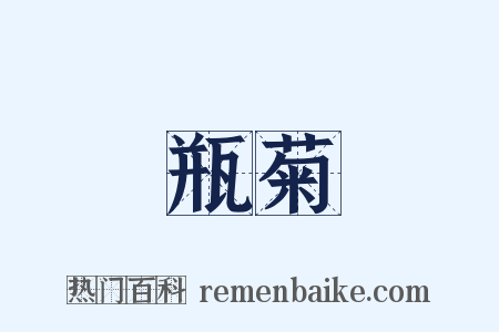 瓶菊是什么意思的图片